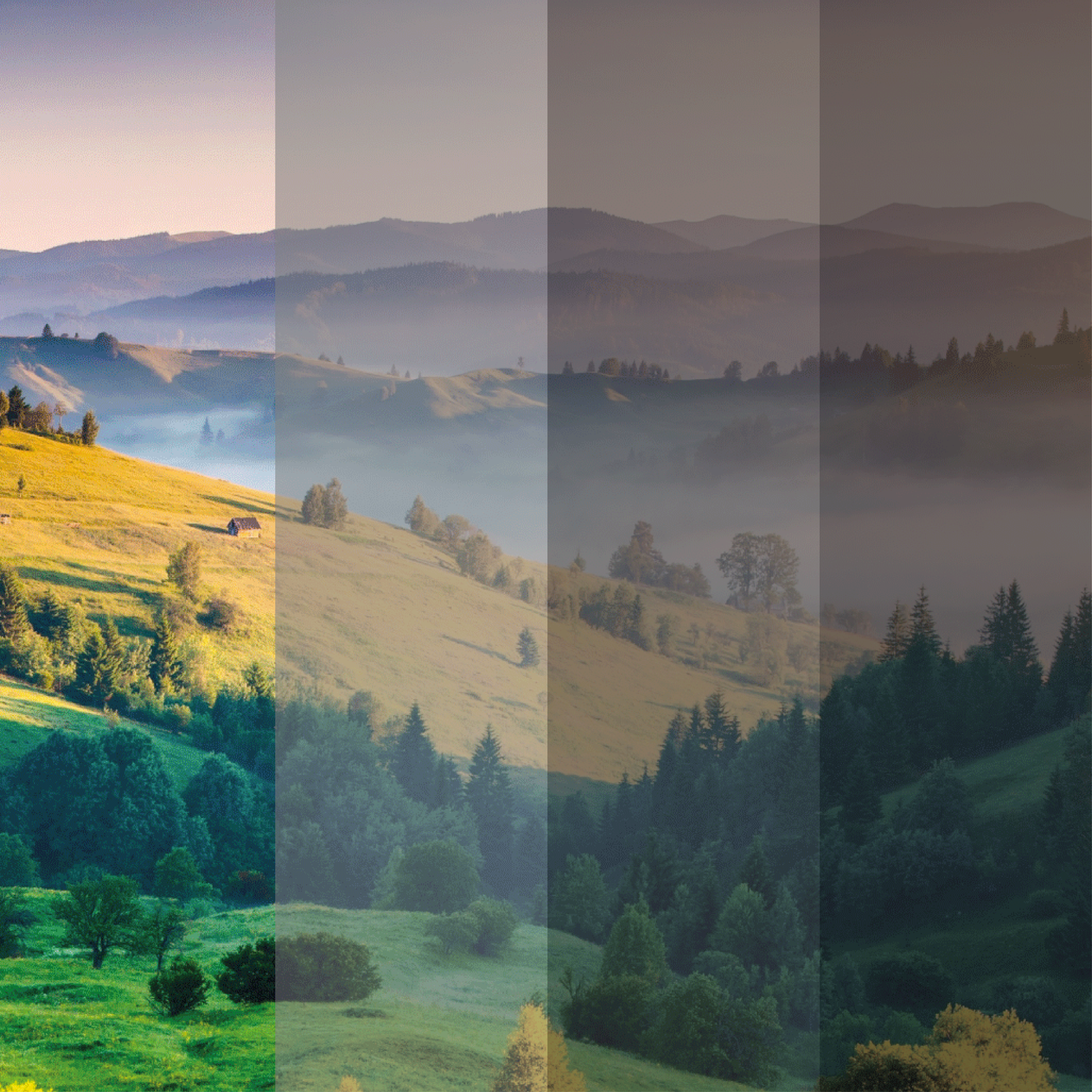 Windowfilm